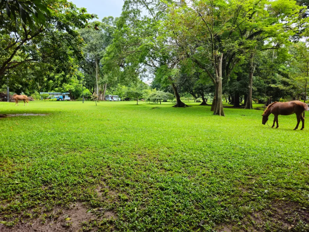 viharamahadevi park inside