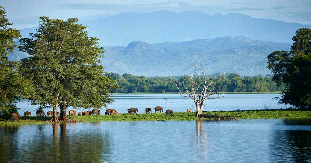 Udawalawa Lake