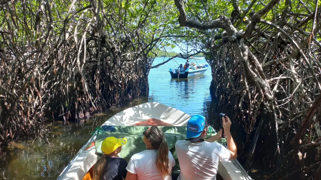 Boat Safari with Visitors