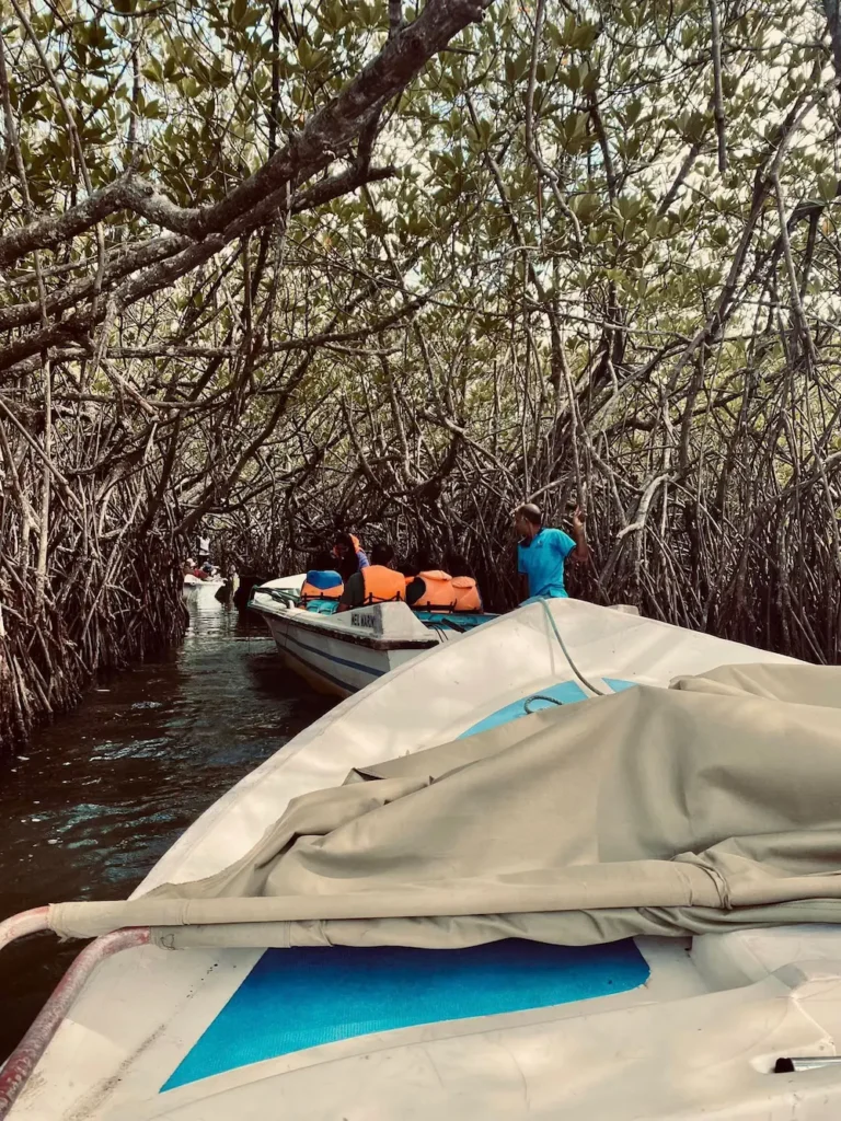 Adventure Boat Safari