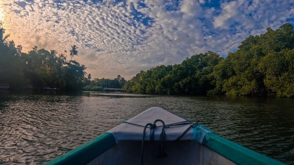 Madu River Nature