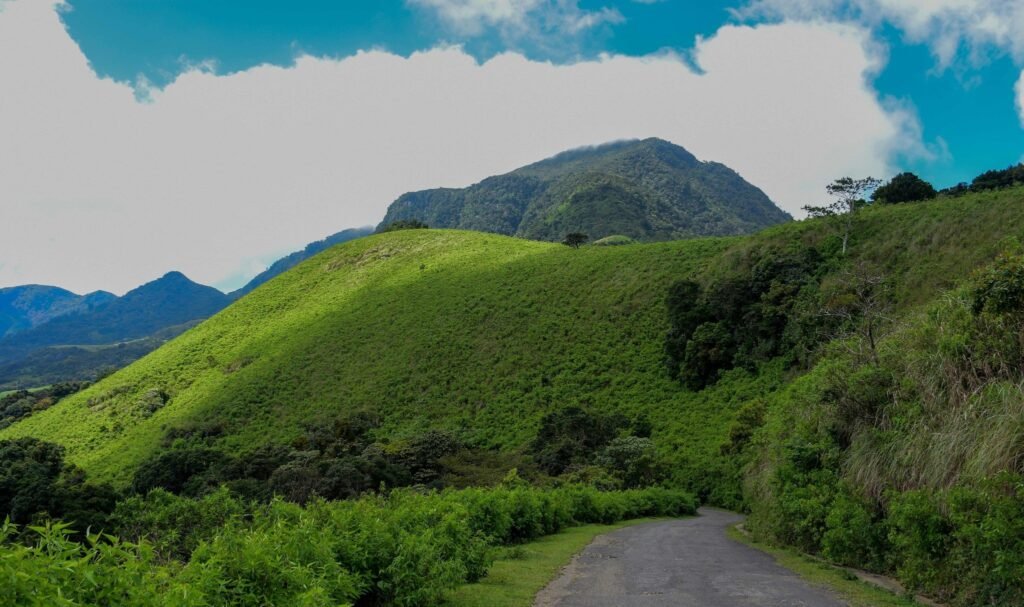 Riverston is a peak area within the Knuckles Mountain Range