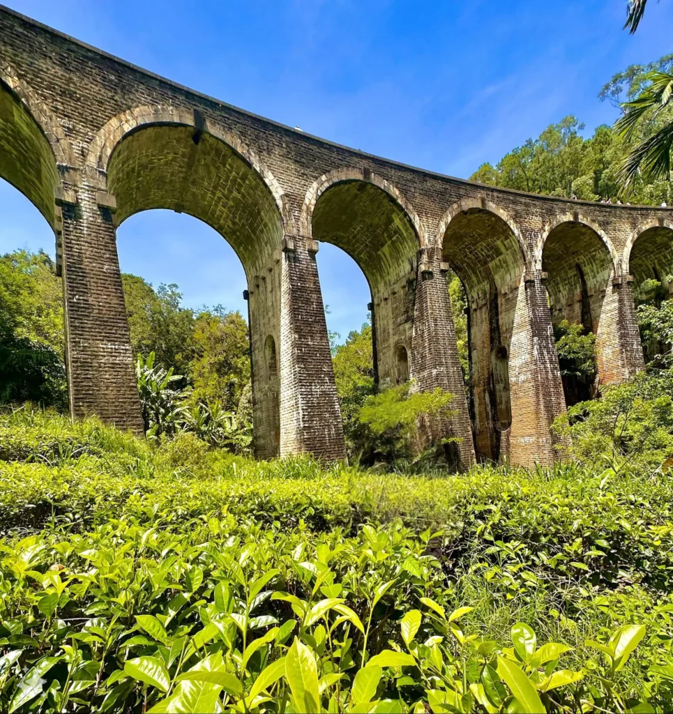 Gazing up at the grandeur of the Nine Arch Bridge, where engineering meets nature in perfect harmony.