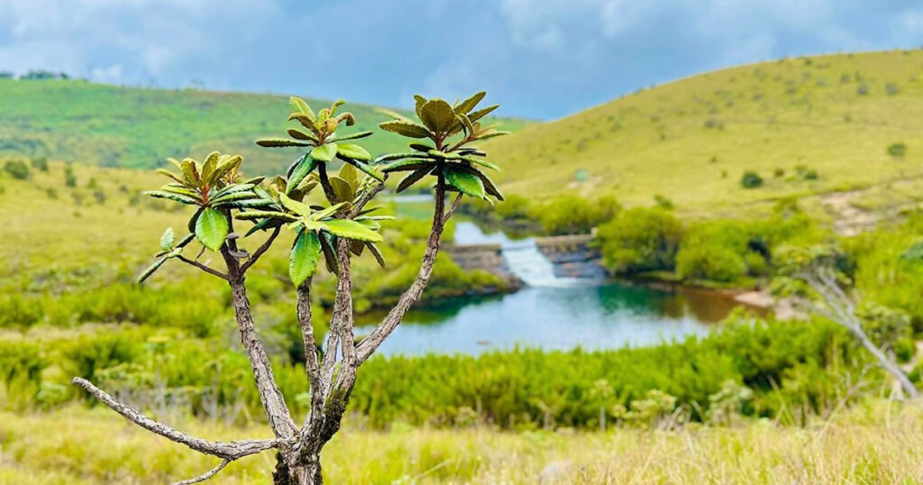 Horton Plains Sri Lanka